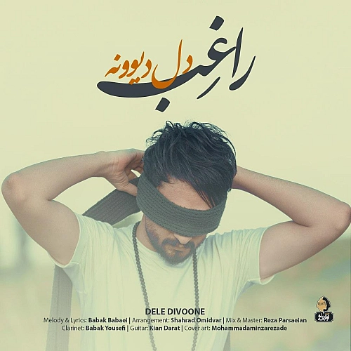 دل دیوونه راغب